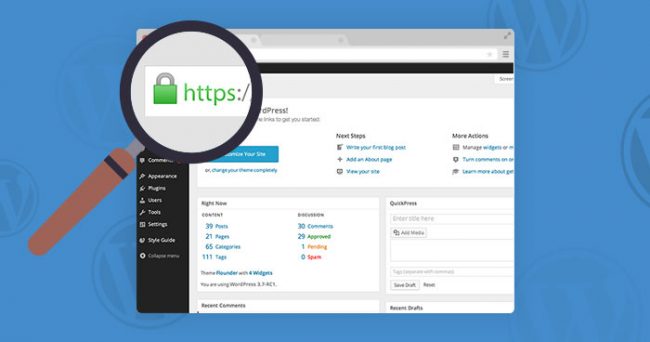 wordpress ssl